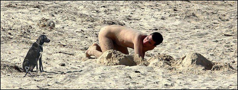 пляж последний раз спрашиваю,где трусы !? фото превью