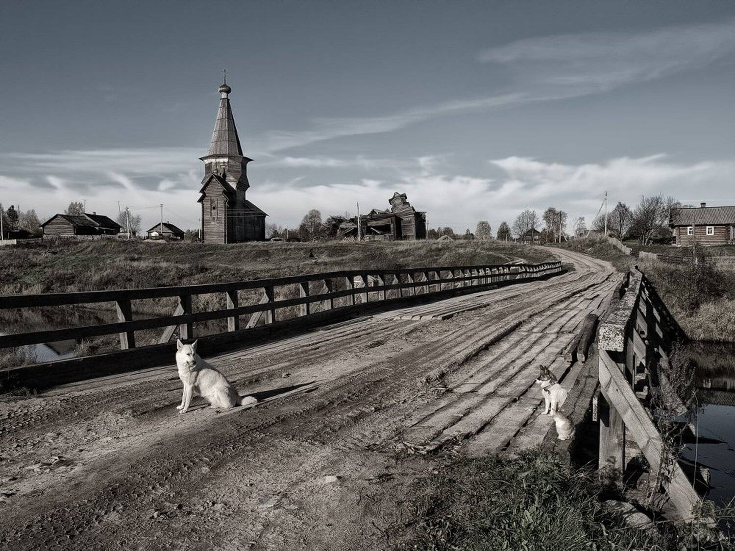 , Максим Евдокимов