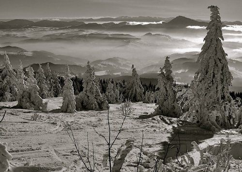 к зиме в гости