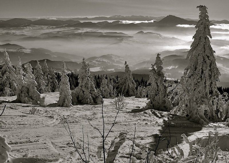 горы, зима, татры к зиме в гости фото превью