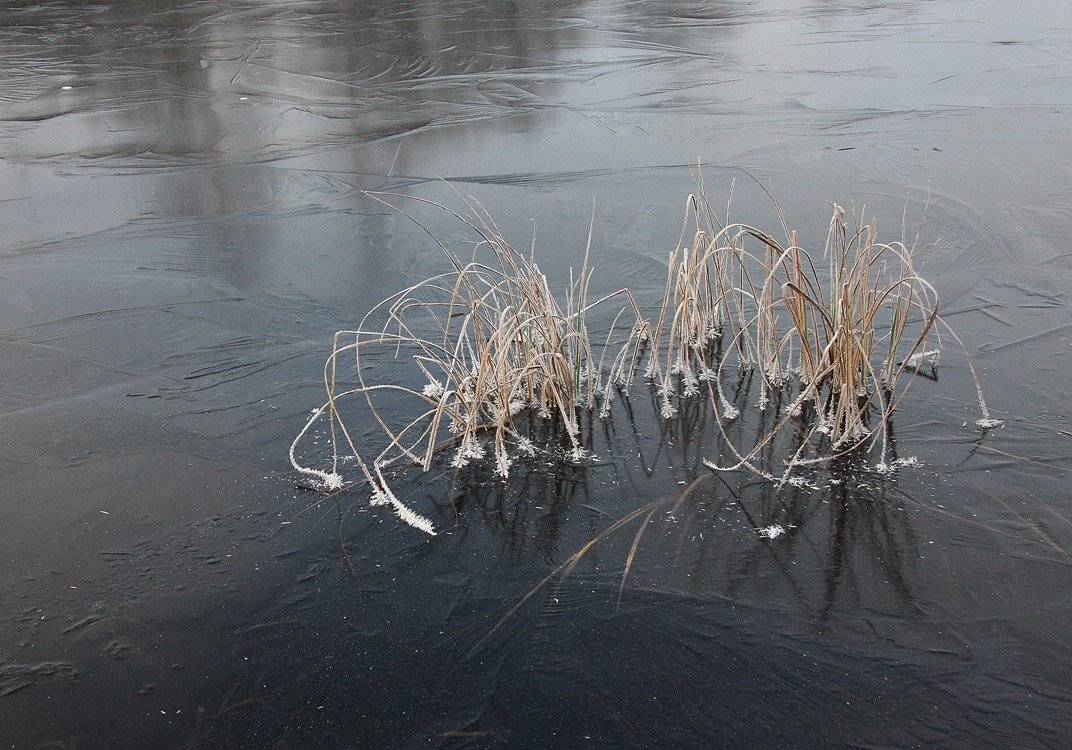 , Александр Коротков