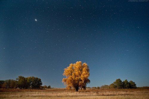 Звездный день #2