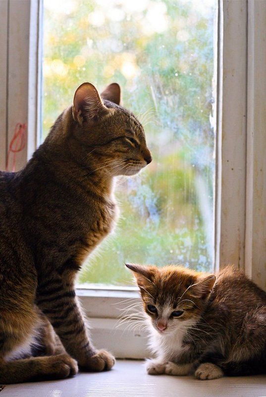 в ожидание фото превью