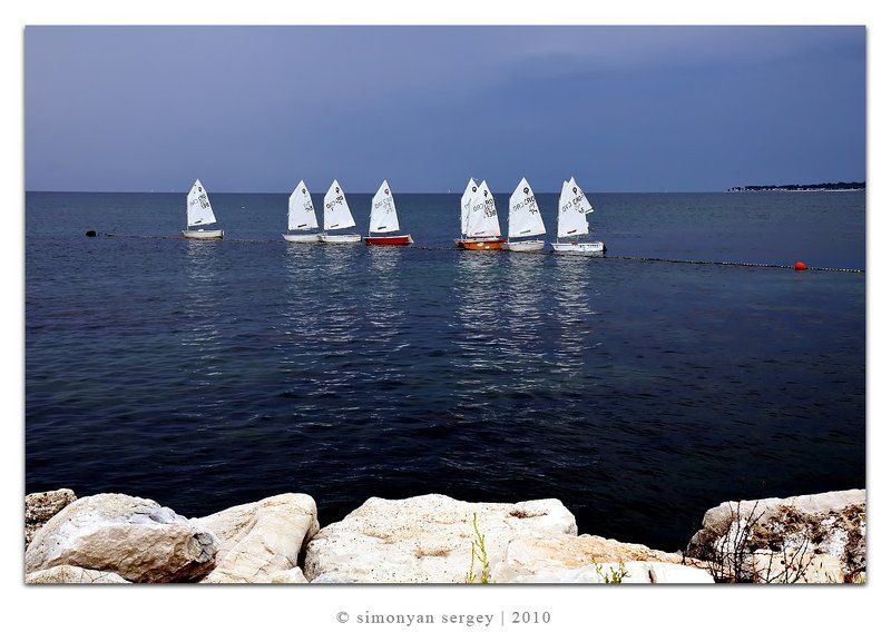 Молодая поросль фото превью