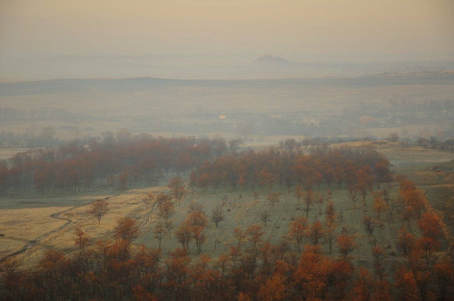 туман, Денис Бодров