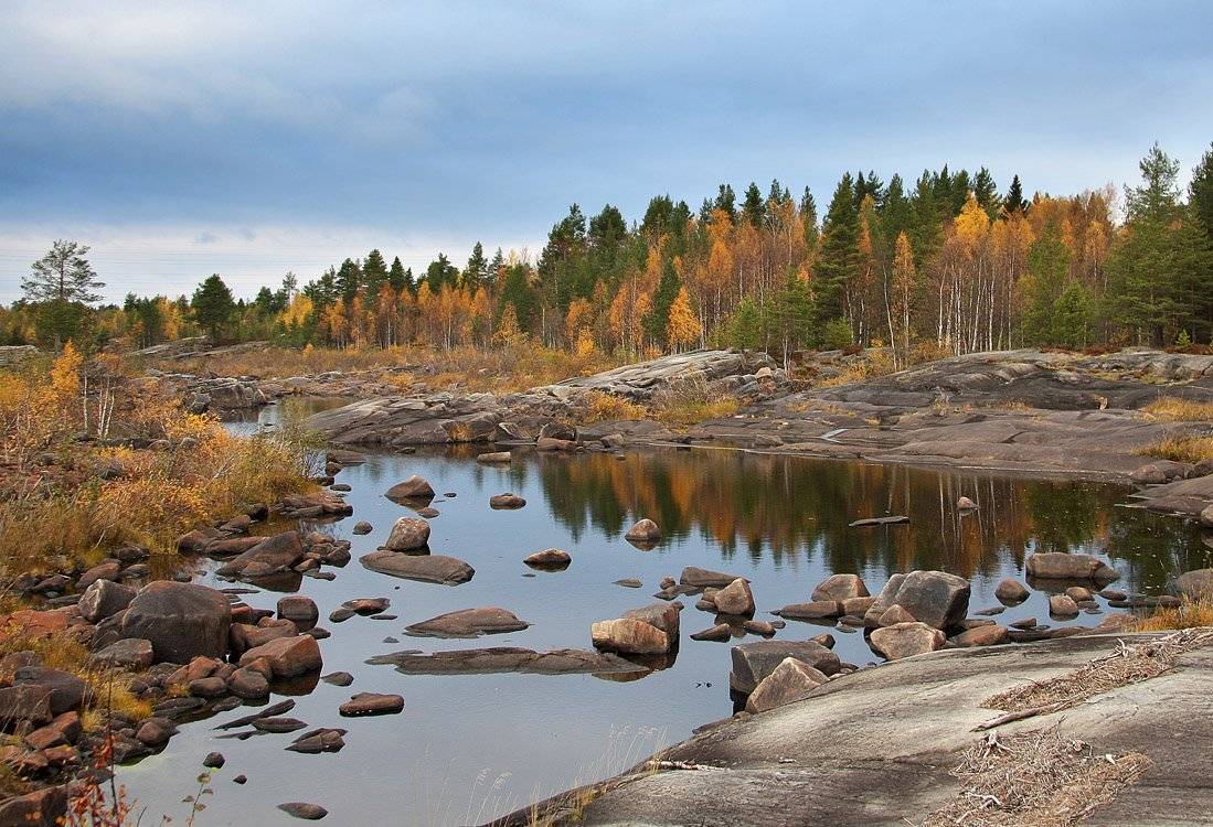 , Александр Коротков