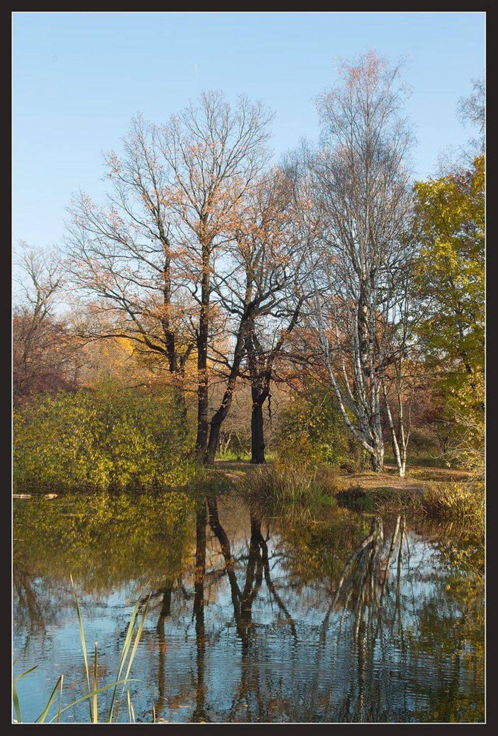 , Вадим Казаков