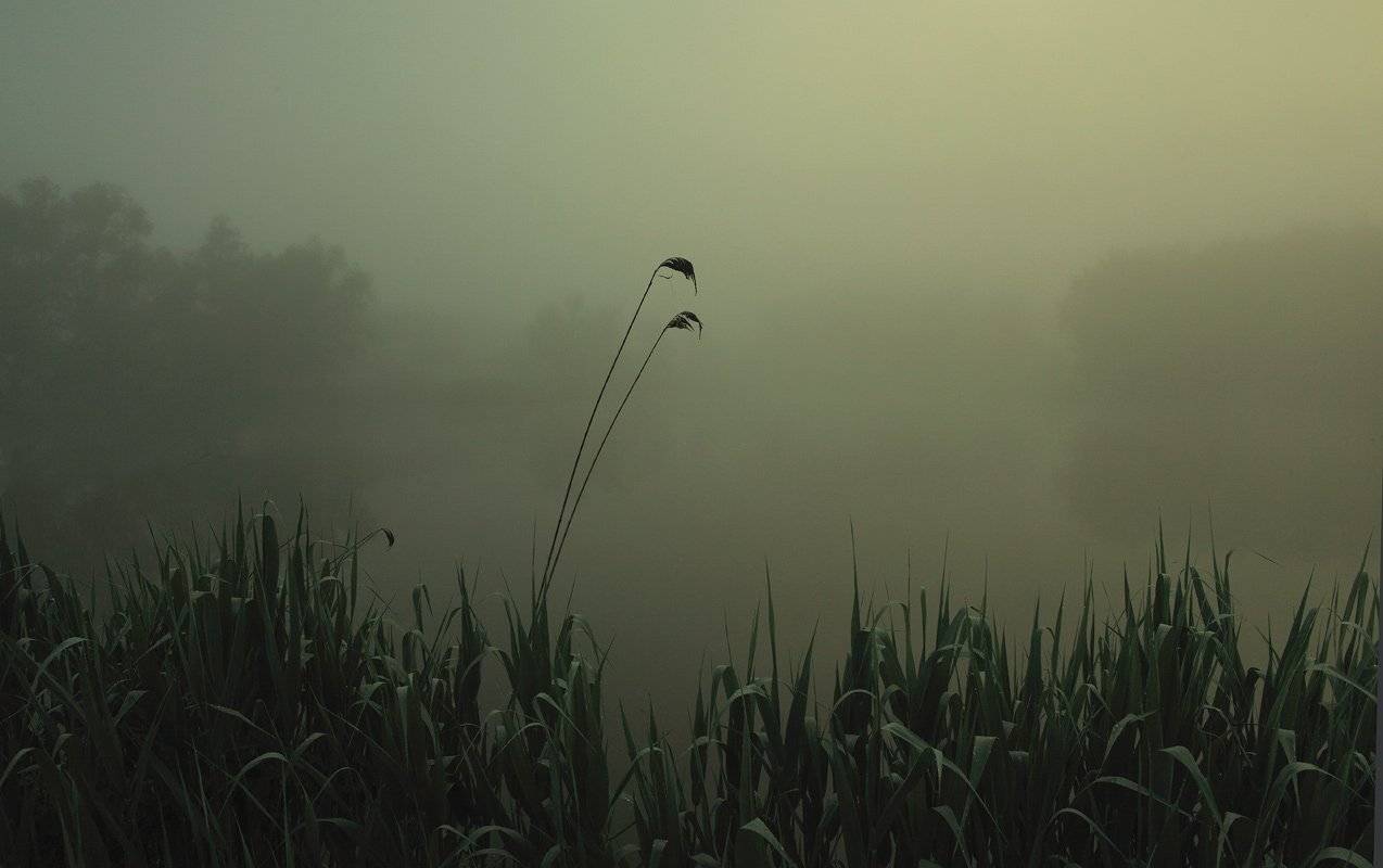 , Роман Николаев