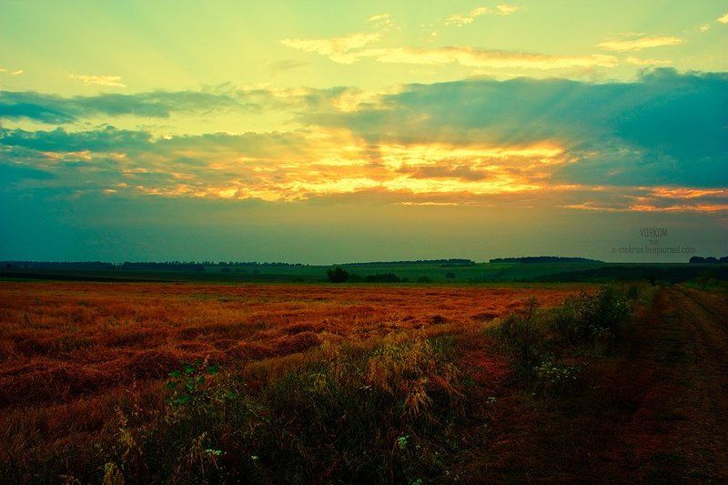 Солнечное фото превью
