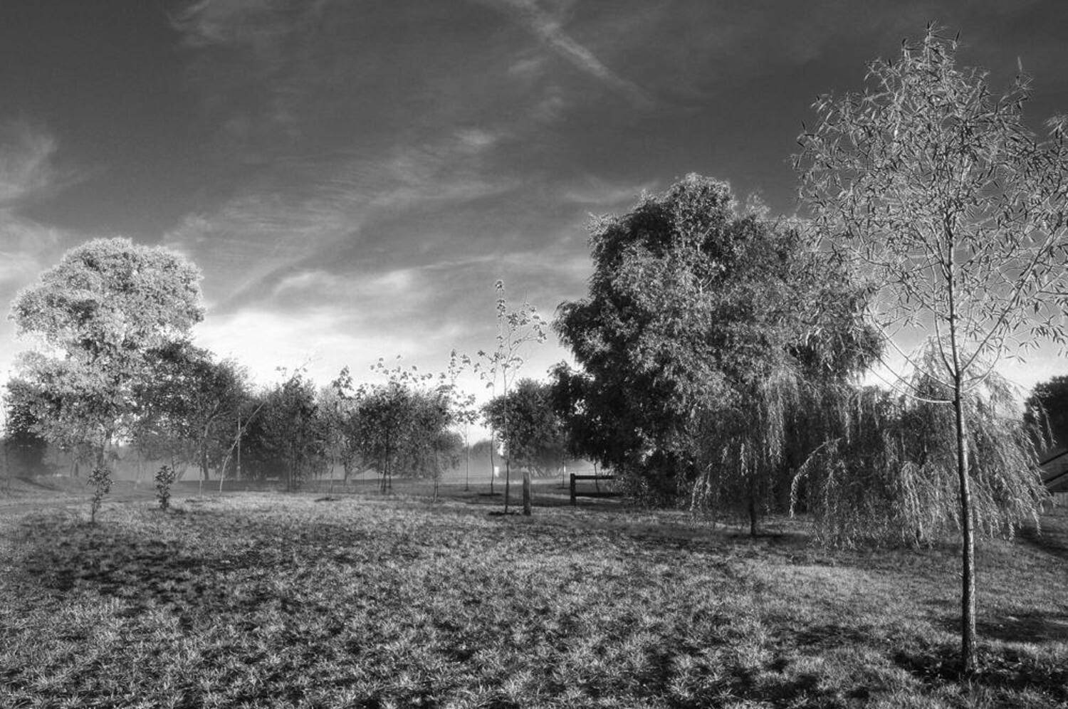 nature, morning, Dmitrov Nikita