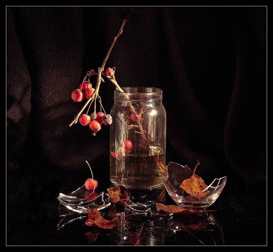 foto liubos,натюрморт,посвящение, Любовь Селиванова