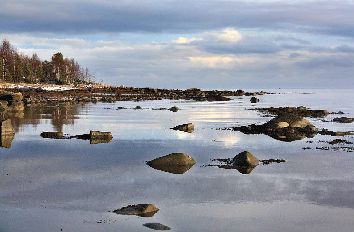 , Андрей Котов