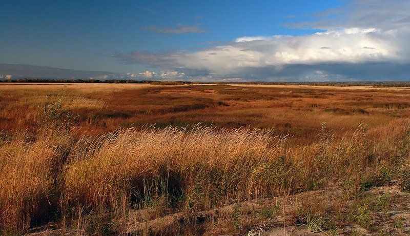 Осень фото превью