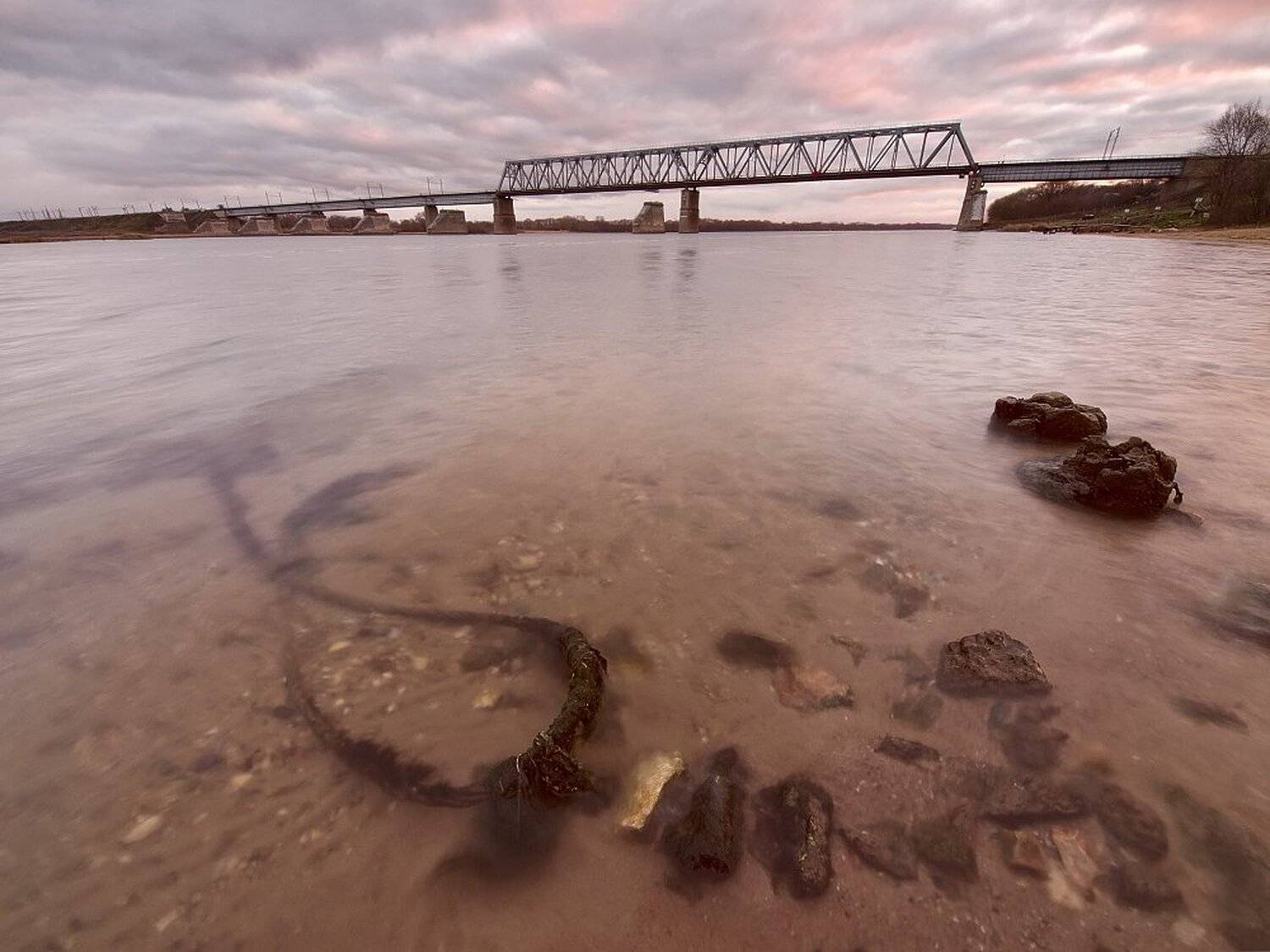 , Максим Евдокимов