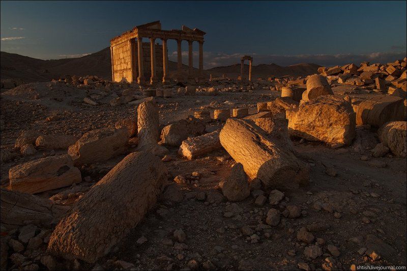 Пальмирская закатная фото превью