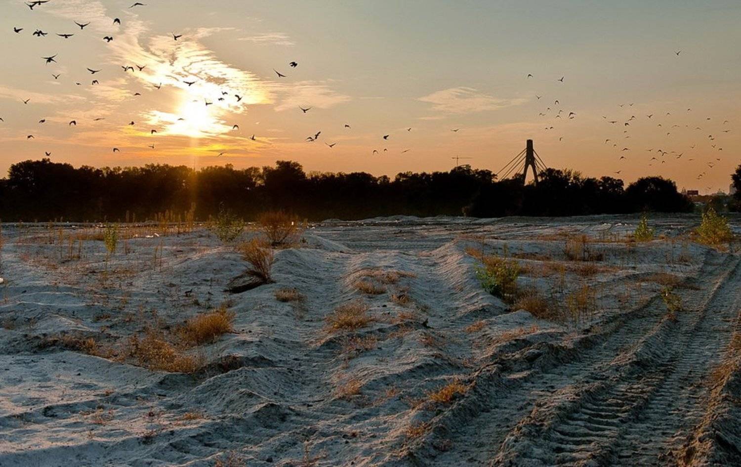 пустырь, закат, облака, песок, вороны, Elena