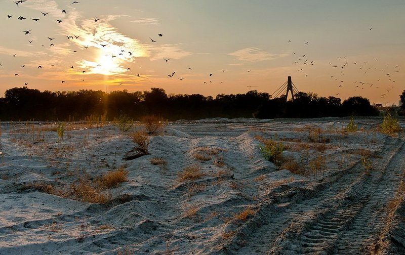 пустырь, закат, облака, песок, вороны На пустыре.. фото превью