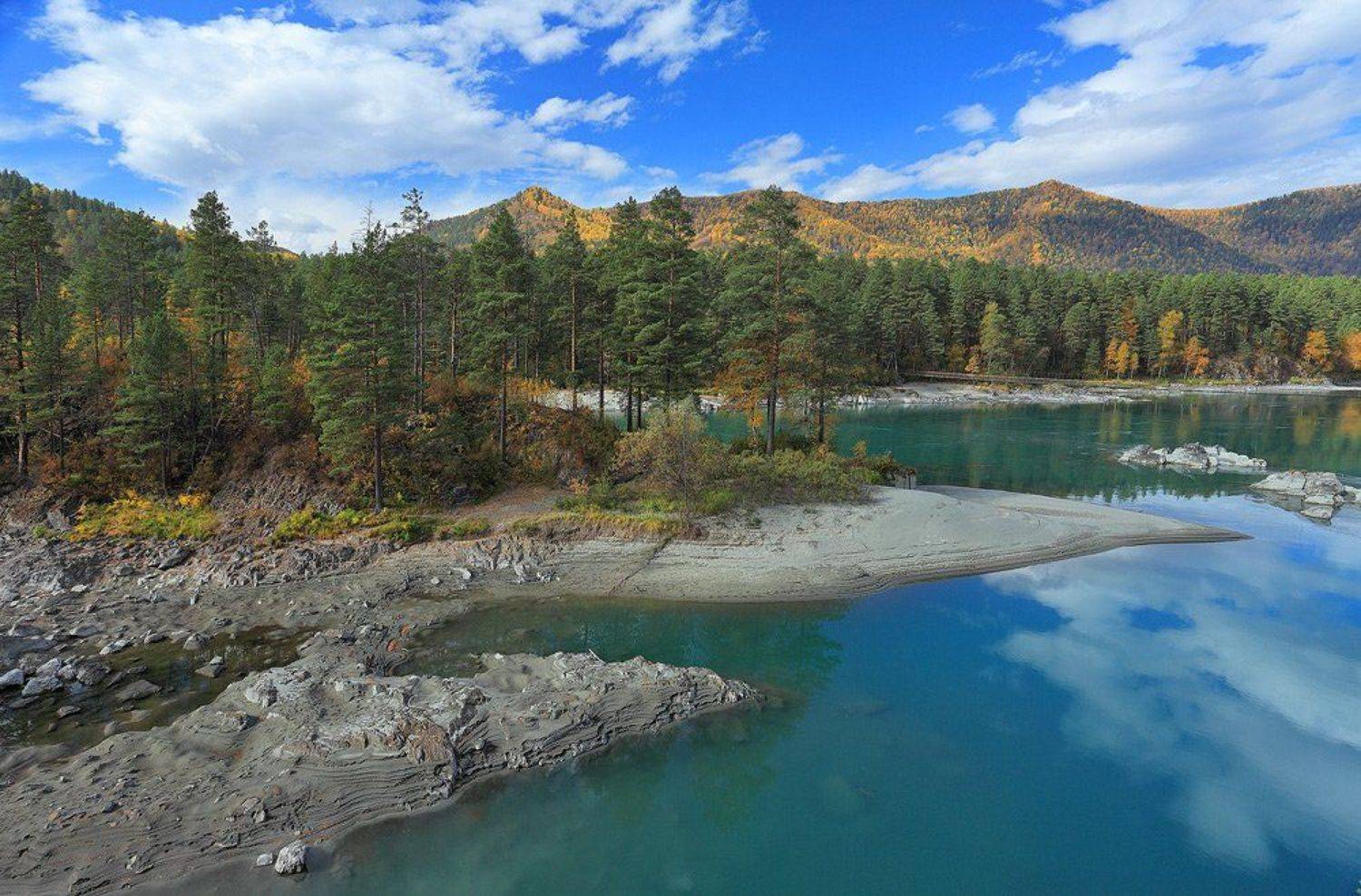 природа, пейзаж, алтай, катунь, лес, осень, река, горы, остров, Sokolova Tatiana