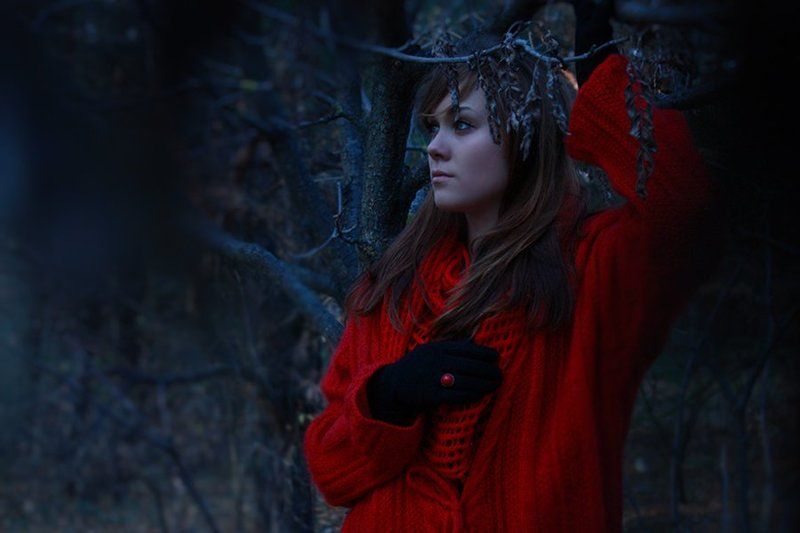 в таинственном лесу.. фото превью