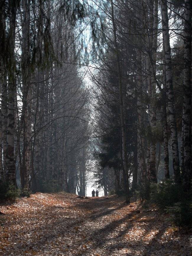 осень, Дмитрий Алексеев