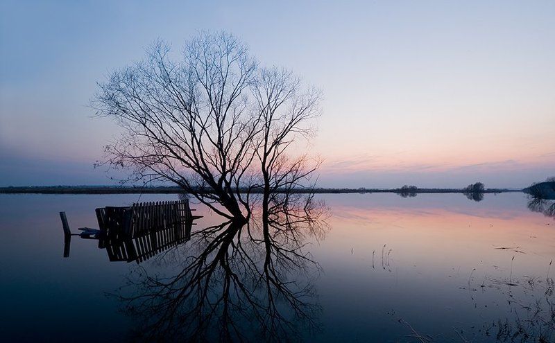 весна, разлив, озеро, дерево, причал, закат, отражения Серия \