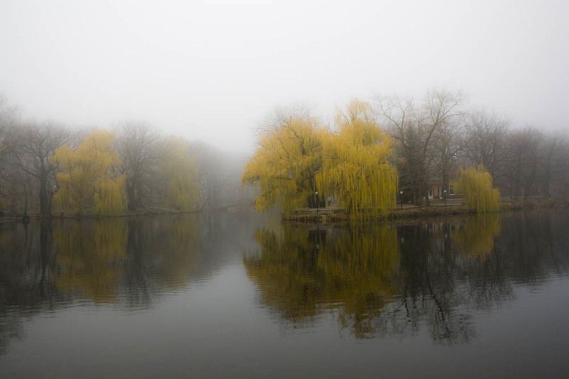 Осень... фото превью
