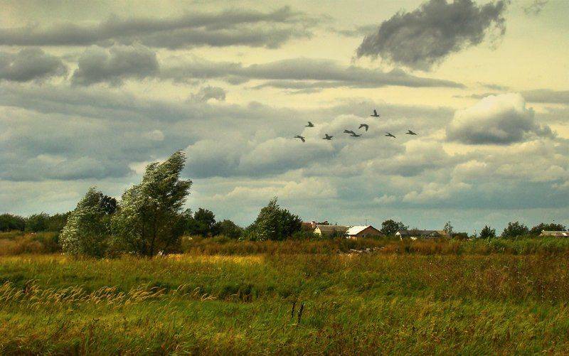 , Лана Тополева