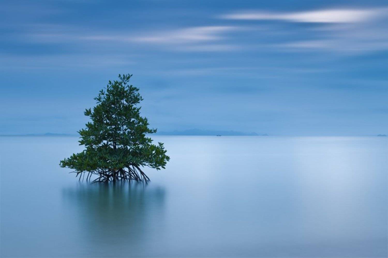 , Станислав Савицкий