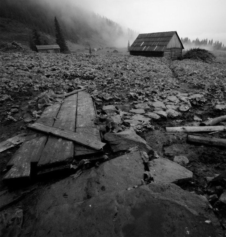 карпаты, природа, пейзаж, осень, жанр, дождь дом фото превью