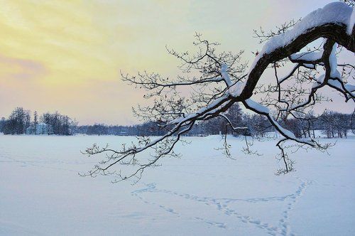 Треугольники