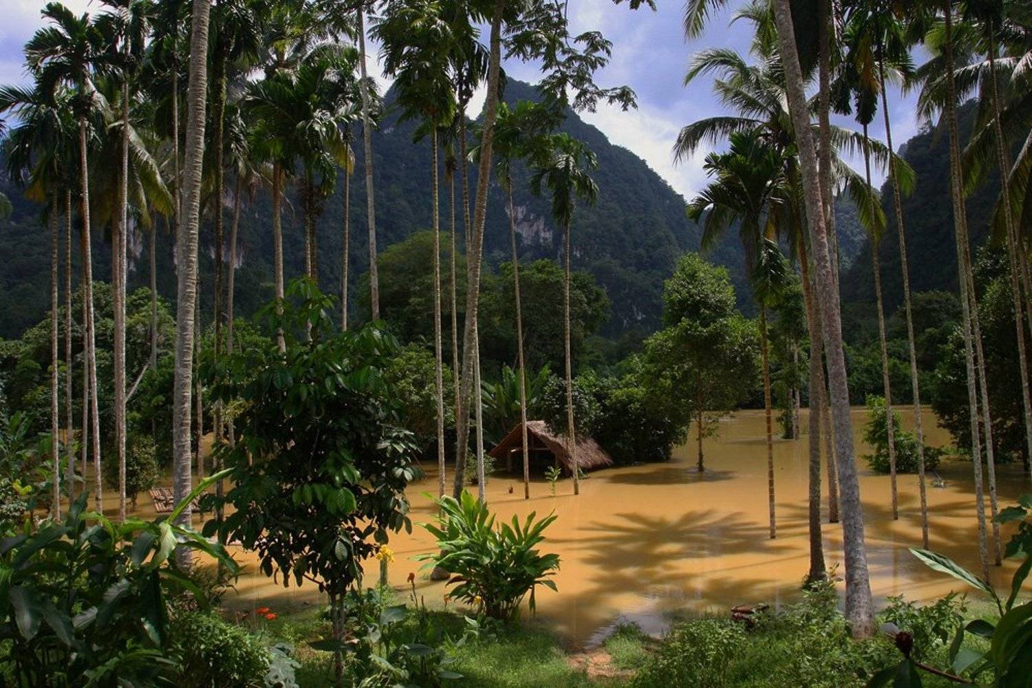 тайланд, као-сок, Александр Нагибин