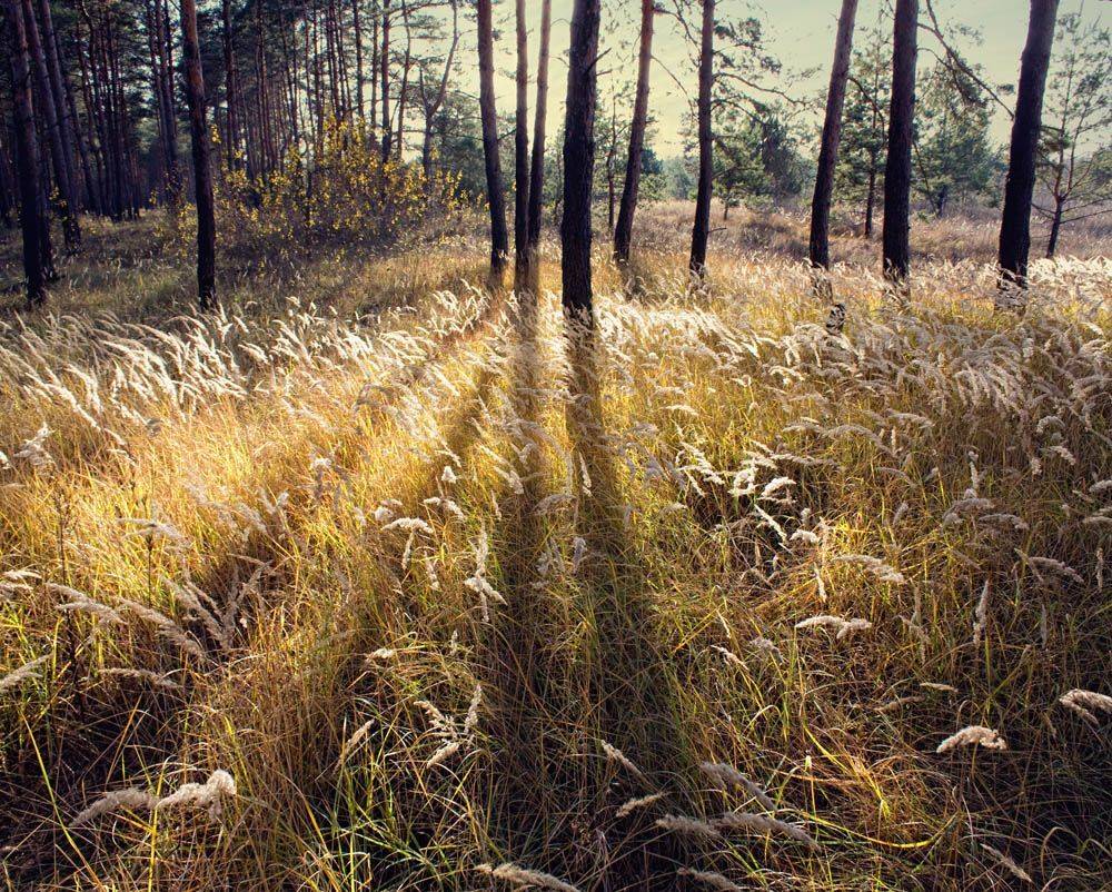 , Александр