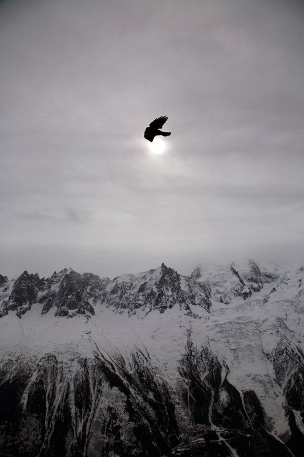путешествие, горы, альпы, франция, шамони, птица, солнце, затмение, Y.S.