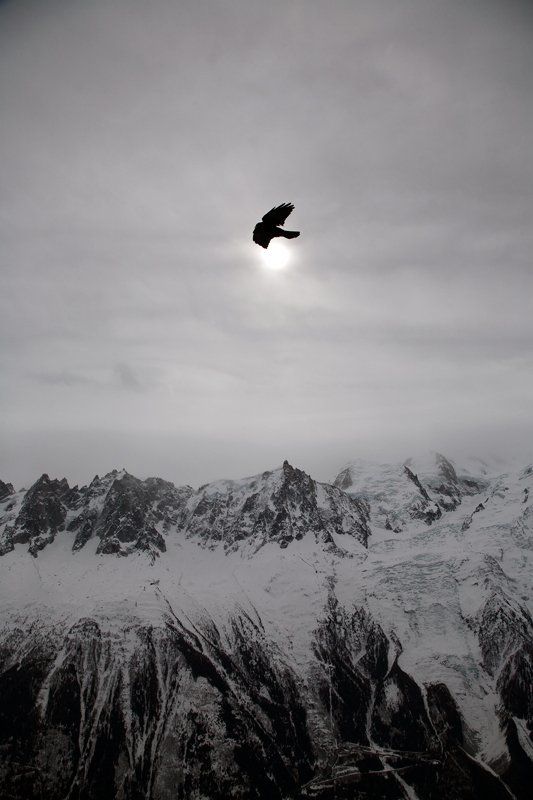 путешествие, горы, альпы, франция, шамони, птица, солнце, затмение Затмение фото превью