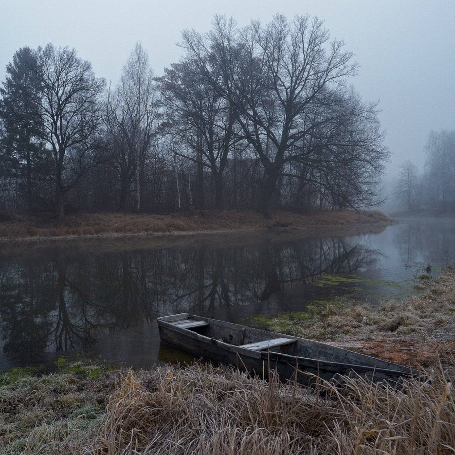 , Александр Виноградов