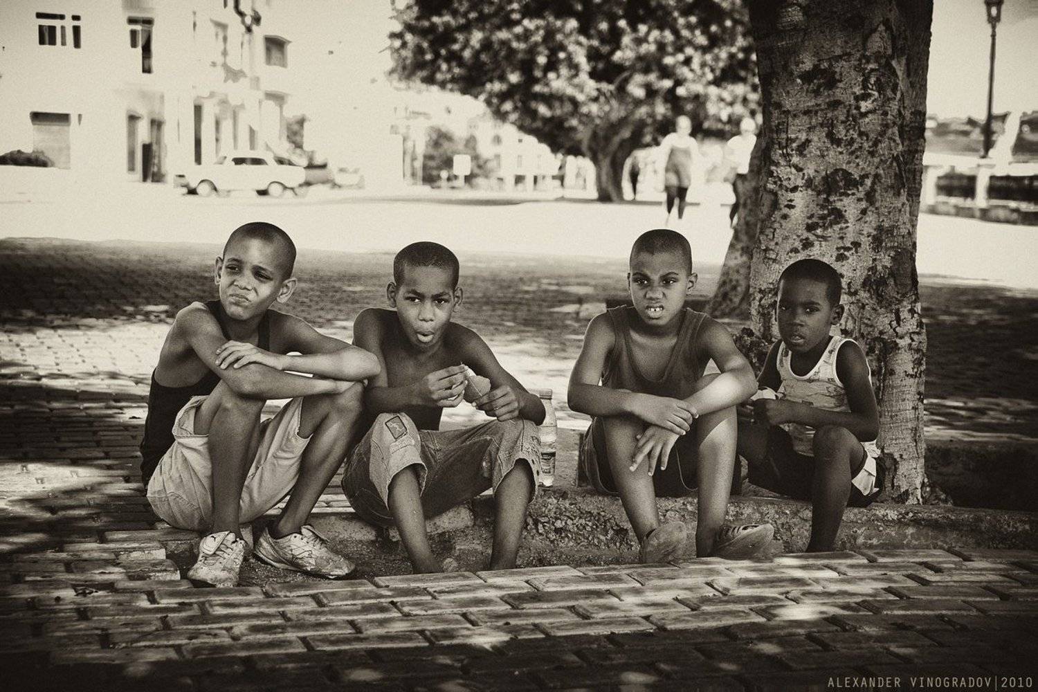 , Александр Виноградов