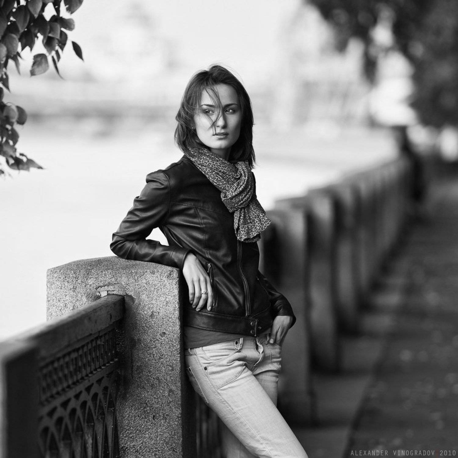 , Александр Виноградов