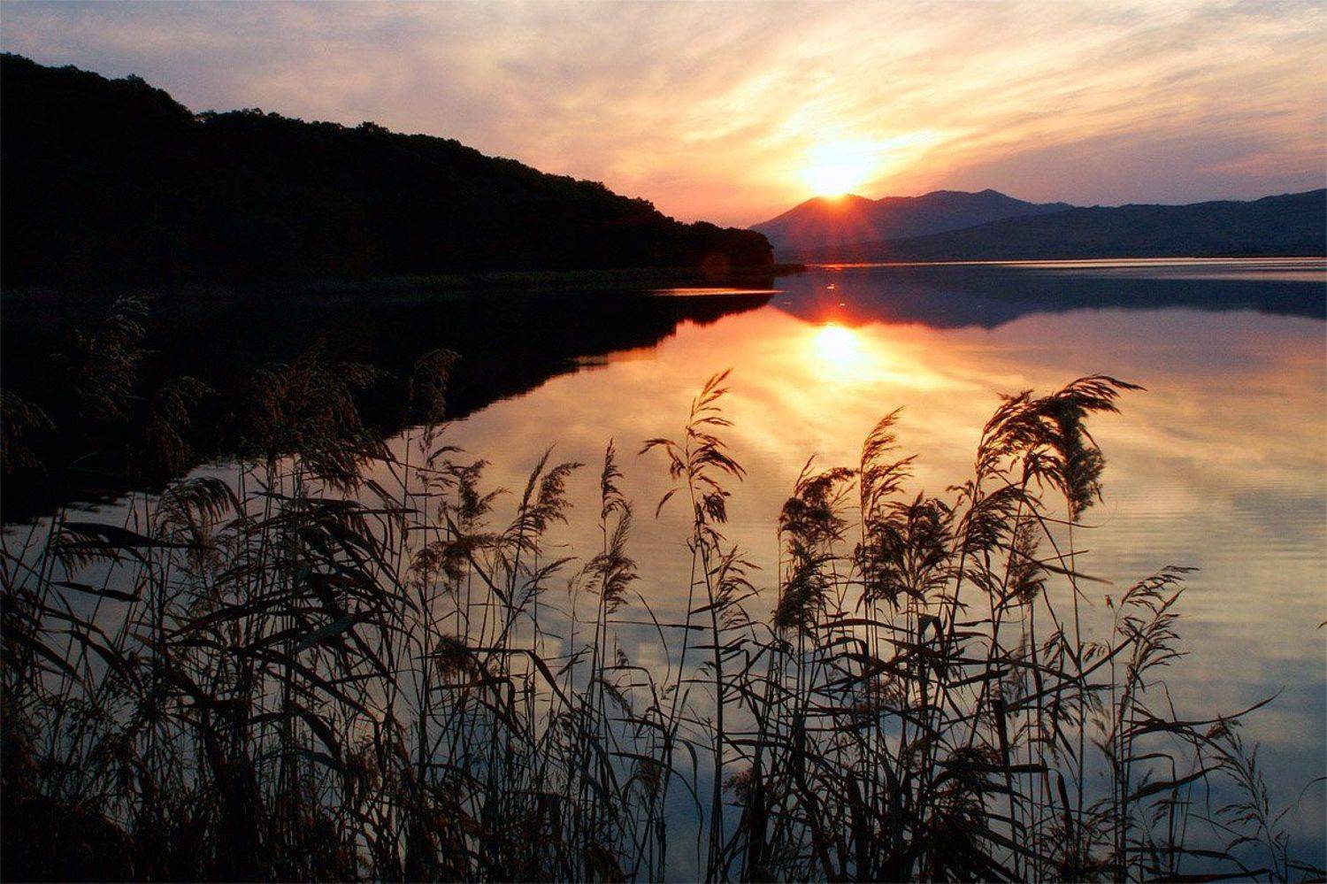 природа, Александр Борисенко