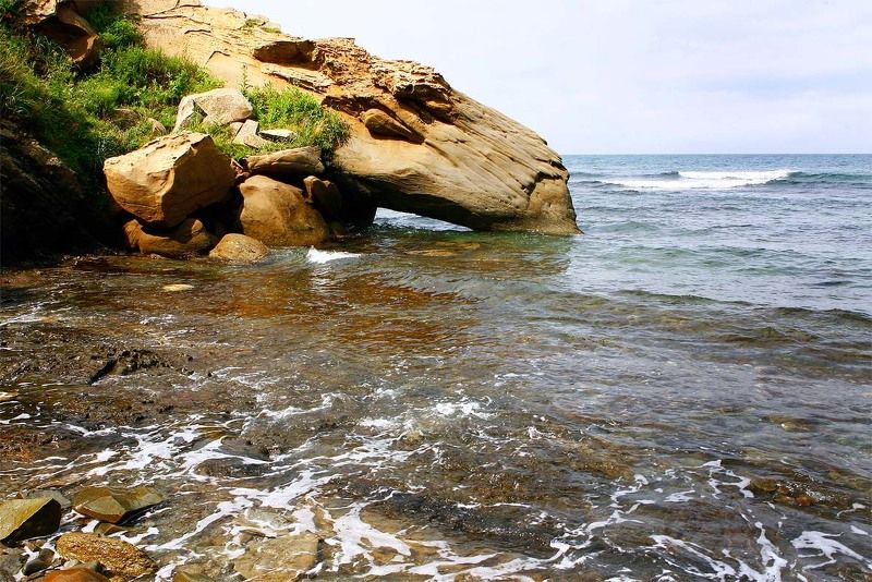 природа водопой фото превью