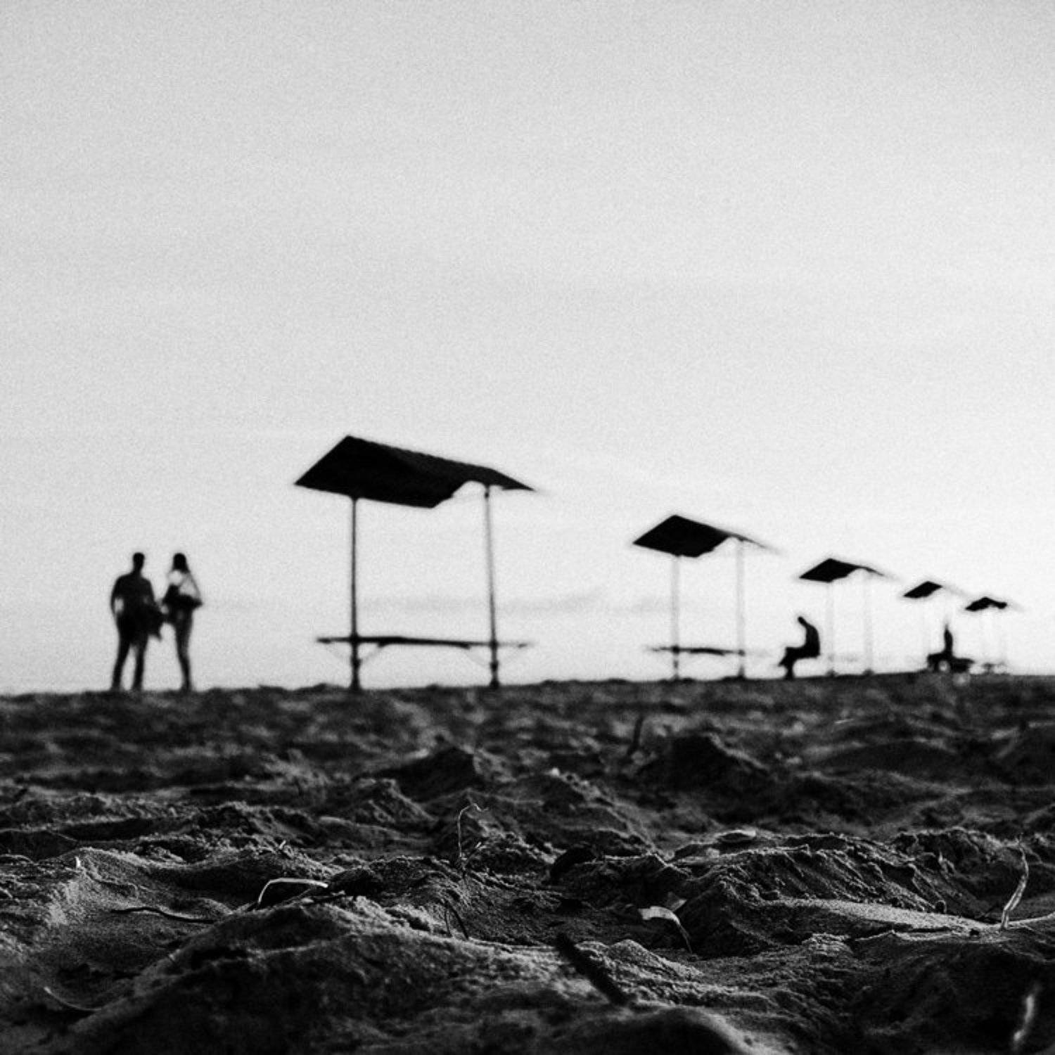 , Роман Чайка