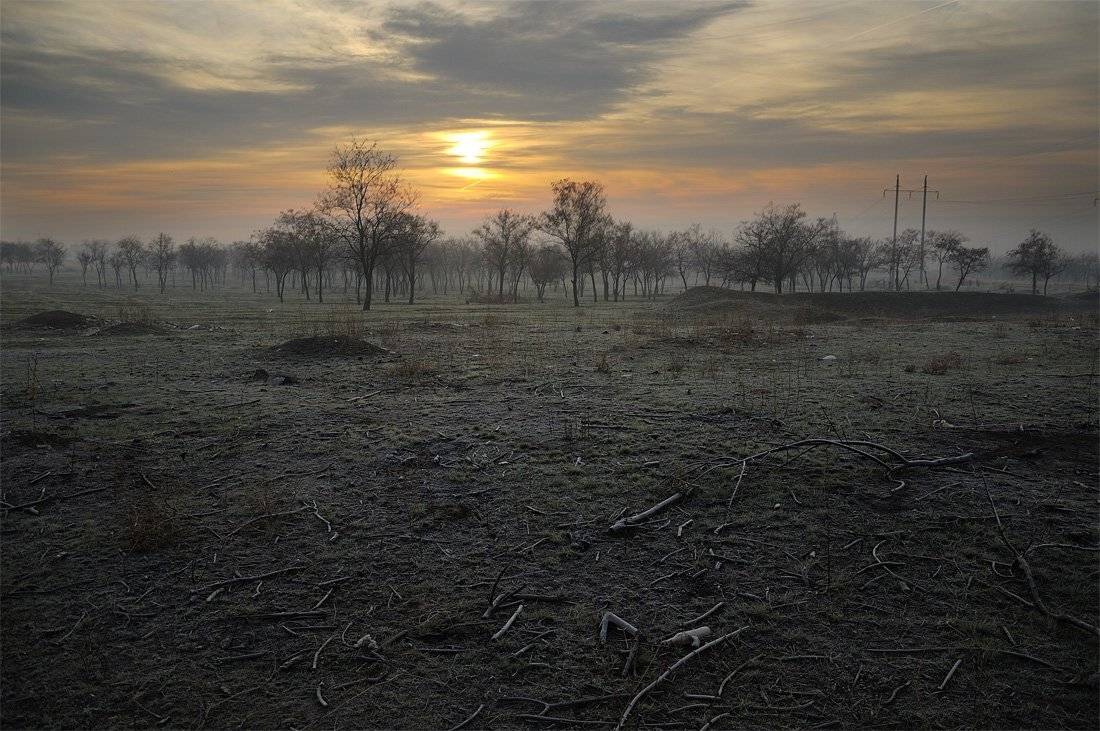 , Денис Бодров