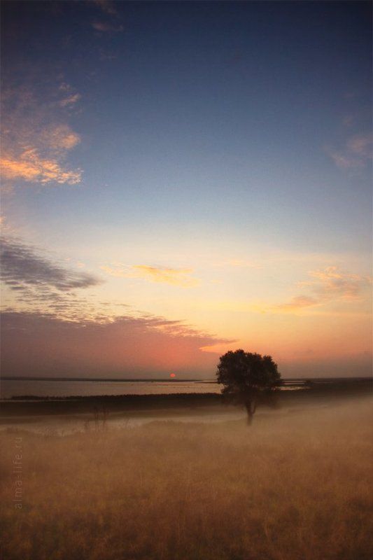 рассвет, дерево, кубань Sunrise фото превью