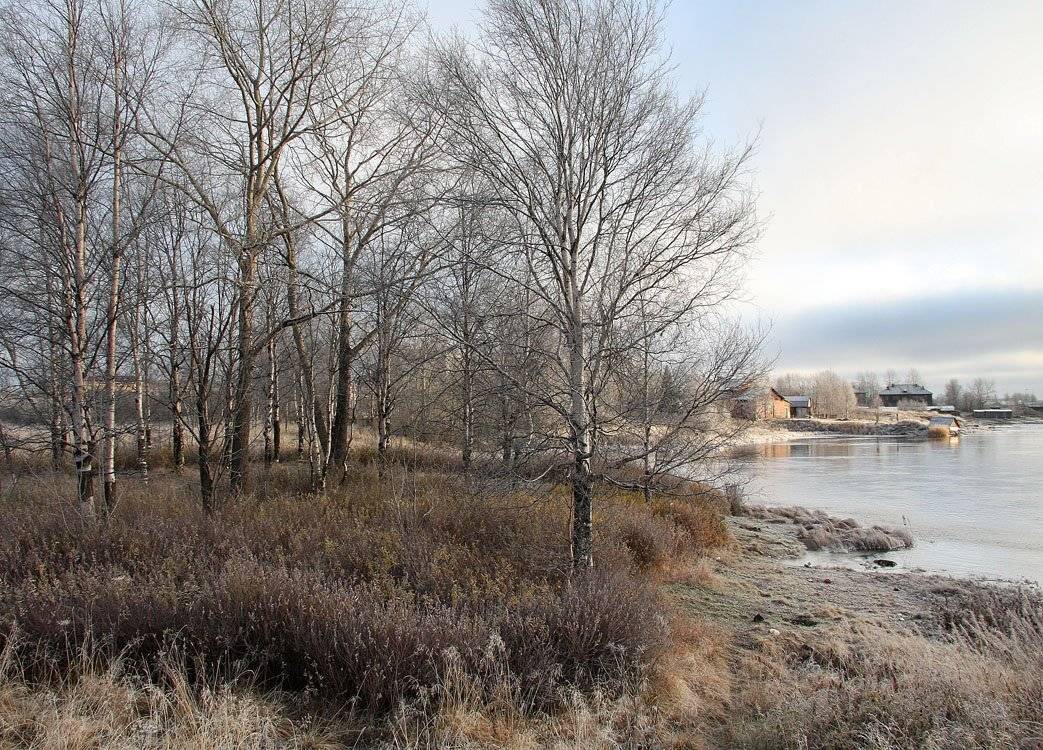 , Александр Коротков