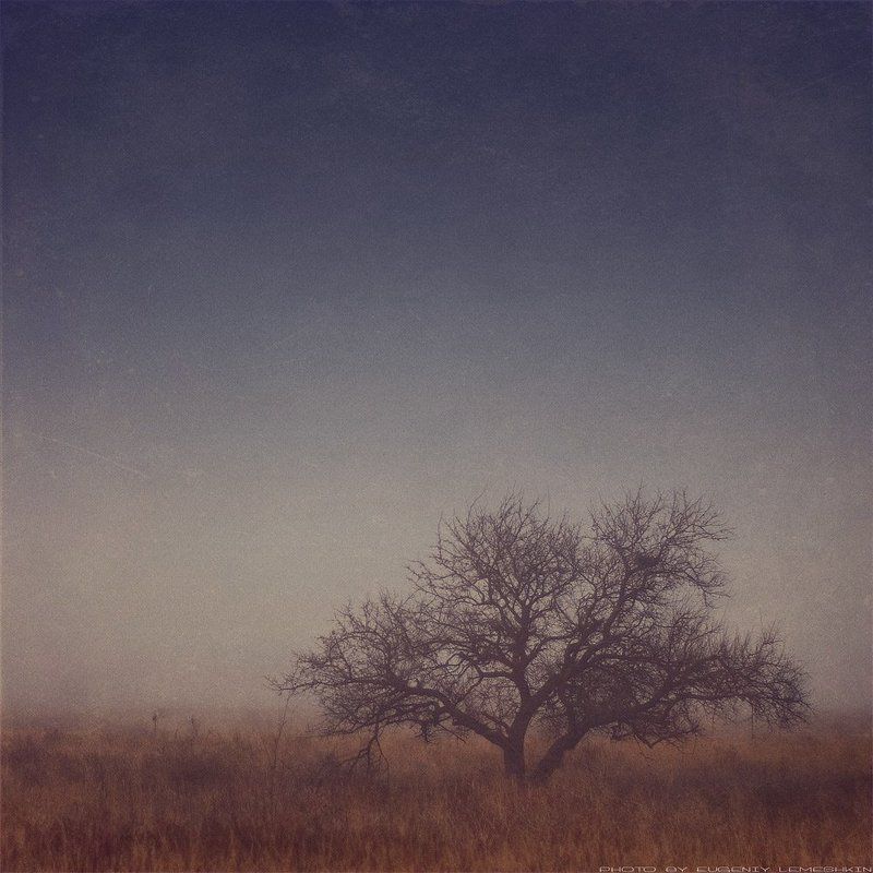 Осень в тумане фото превью