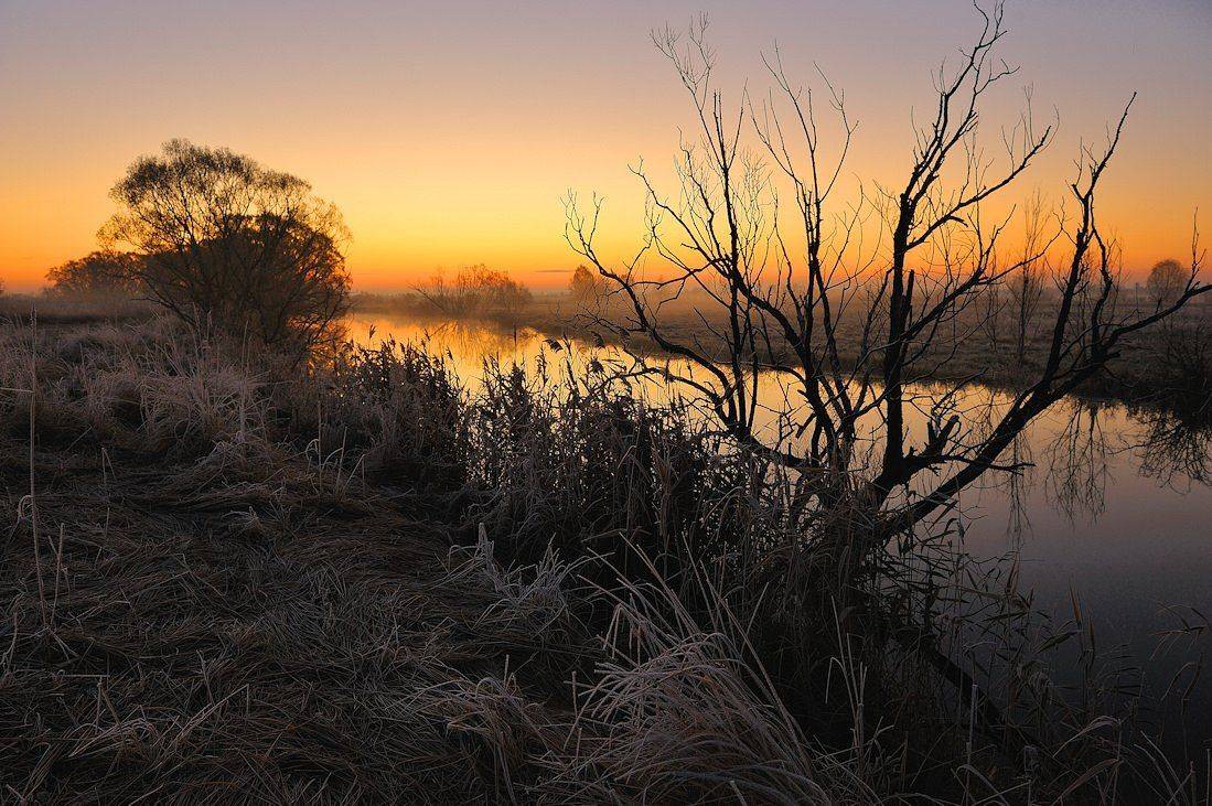 , Андрей Балабин
