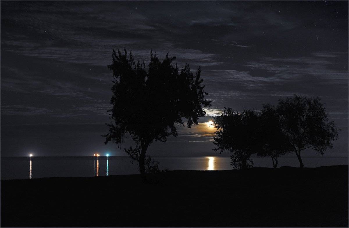 , Борис Пирог