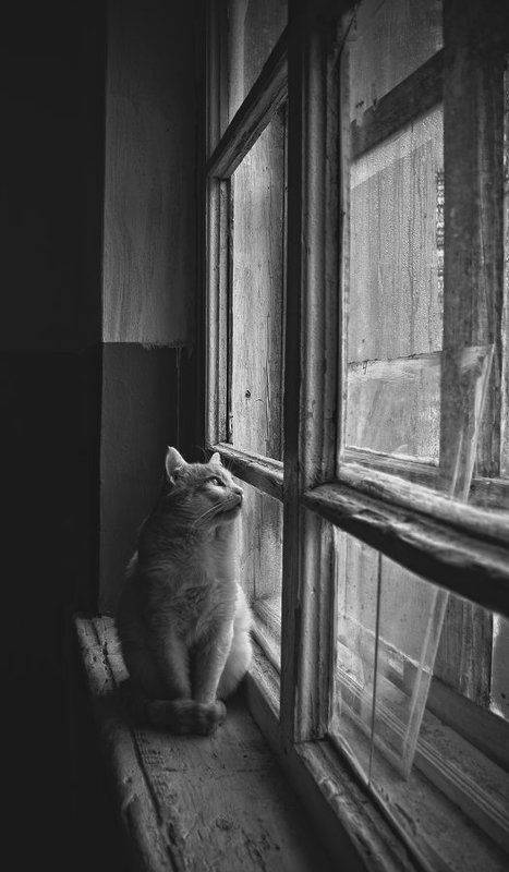 :_: фото превью