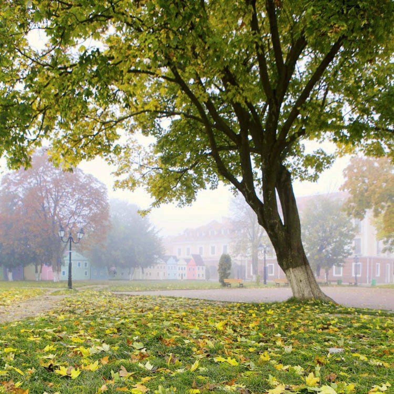 осень, Kirill Grekov