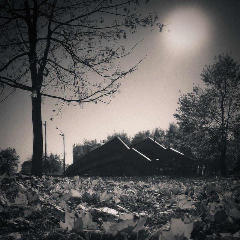 Про уходящую солнечную осень фото превью