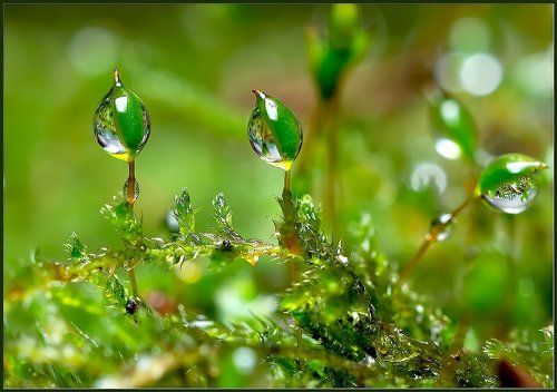 Третий - как всегда лишний.